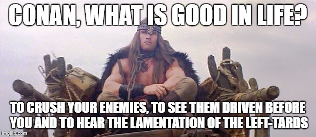 Conan the barbarian waits | CONAN, WHAT IS GOOD IN LIFE? TO CRUSH YOUR ENEMIES, TO SEE THEM DRIVEN BEFORE YOU AND TO HEAR THE LAMENTATION OF THE LEFT-TARDS | image tagged in conan the barbarian waits | made w/ Imgflip meme maker