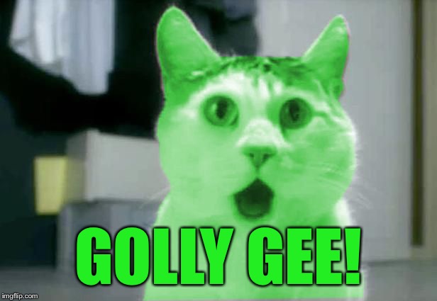 OMG RayCat | GOLLY GEE! | image tagged in omg raycat | made w/ Imgflip meme maker