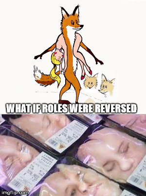 Perspective *Shift* | WHAT IF ROLES WERE REVERSED | image tagged in fox,fur,meat,killing,packaged | made w/ Imgflip meme maker