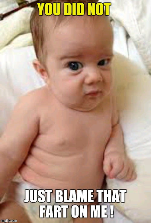 Who Farted | YOU DID NOT; JUST BLAME THAT FART ON ME ! | image tagged in memes,funny,skeptical baby,fart | made w/ Imgflip meme maker