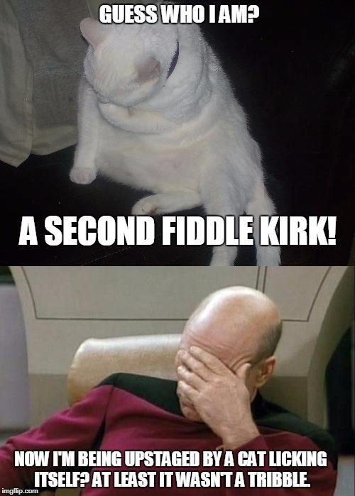 Snowball Challenges Picard | GUESS WHO I AM? A SECOND FIDDLE KIRK! NOW I'M BEING UPSTAGED BY A CAT LICKING ITSELF? AT LEAST IT WASN'T A TRIBBLE. | image tagged in star trek the next generation,star trek face palm,picard,snowball,funny cats | made w/ Imgflip meme maker