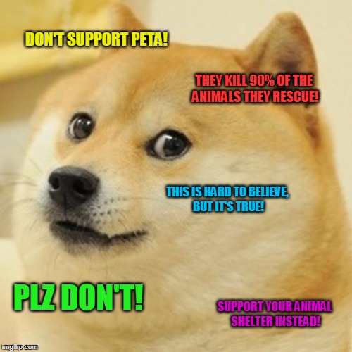 I was surpise to hear this, but when I found out, I stopped supporting them, and the truth has to be out! | DON'T SUPPORT PETA! THEY KILL 90% OF THE ANIMALS THEY RESCUE! THIS IS HARD TO BELIEVE, BUT IT'S TRUE! PLZ DON'T! SUPPORT YOUR ANIMAL SHELTER INSTEAD! | image tagged in memes,doge | made w/ Imgflip meme maker