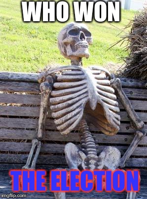 Waiting Skeleton Meme | WHO WON; THE ELECTION | image tagged in memes,waiting skeleton | made w/ Imgflip meme maker