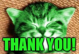 happy RayCat | THANK YOU! | image tagged in happy raycat | made w/ Imgflip meme maker