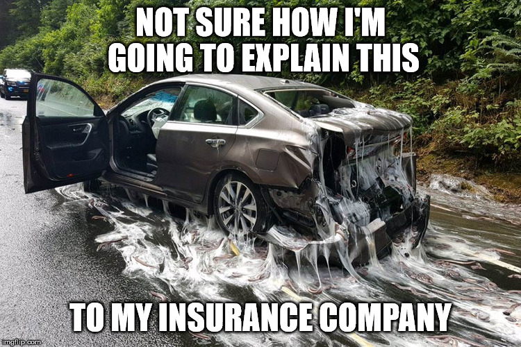 Not sure if my ensurer covers hagfish damage... | NOT SURE HOW I'M GOING TO EXPLAIN THIS; TO MY INSURANCE COMPANY | image tagged in memes,slime,eel | made w/ Imgflip meme maker