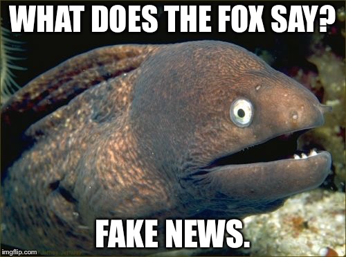 Bad Joke Eel Fox News | WHAT DOES THE FOX SAY? FAKE NEWS. | image tagged in memes,bad joke eel,fox news,fake news,what does the fox say,tv humor | made w/ Imgflip meme maker