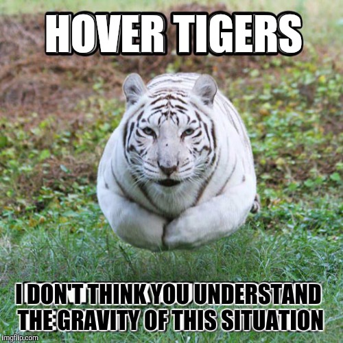Hover tigers, for Tiger Week, July 24 - 31, a TigerLegend1046 event | HOVER TIGERS; I DON'T THINK YOU UNDERSTAND THE GRAVITY OF THIS SITUATION | image tagged in memes,hover tigers,tiger week,tigerlegend1046 | made w/ Imgflip meme maker