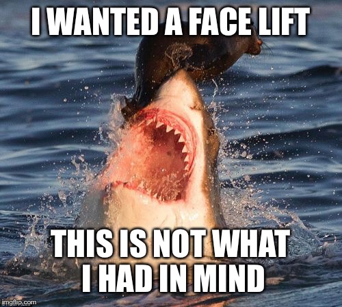 Travelonshark Meme | I WANTED A FACE LIFT; THIS IS NOT WHAT I HAD IN MIND | image tagged in memes,travelonshark | made w/ Imgflip meme maker