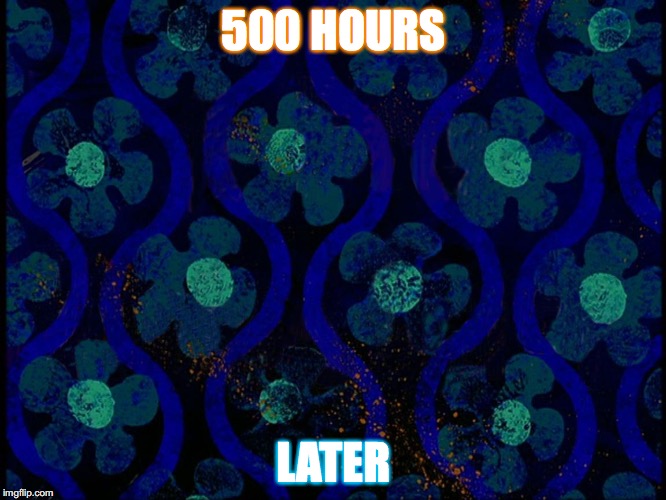 Spongebob time card blank | 500 HOURS; LATER | image tagged in spongebob time card blank | made w/ Imgflip meme maker