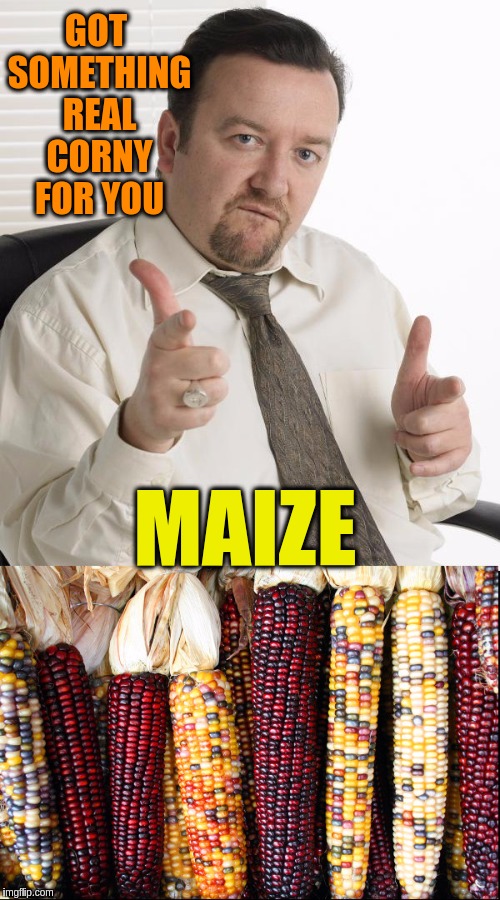 Something real corny for you |  GOT SOMETHING REAL CORNY FOR YOU; MAIZE | image tagged in memes,funny,puns,corny joke,corn | made w/ Imgflip meme maker