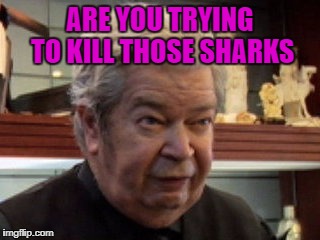 ARE YOU TRYING TO KILL THOSE SHARKS | made w/ Imgflip meme maker
