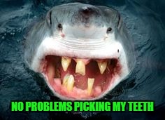 NO PROBLEMS PICKING MY TEETH | made w/ Imgflip meme maker