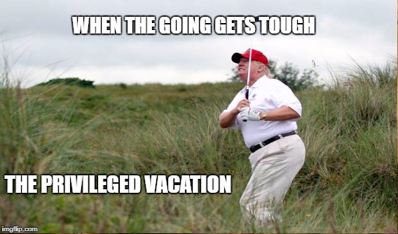Treason Timeout | WHEN THE GOING GETS TOUGH; THE PRIVILEGED VACATION | image tagged in trump,golf | made w/ Imgflip meme maker
