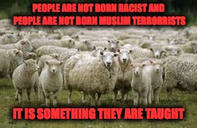 sheeps | PEOPLE ARE NOT BORN RACIST AND PEOPLE ARE NOT BORN MUSLIM TERRORRISTS; IT IS SOMETHING THEY ARE TAUGHT | image tagged in sheeps | made w/ Imgflip meme maker