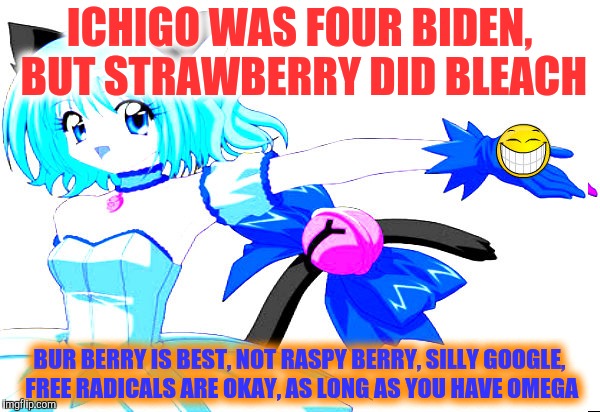 ICHIGO WAS FOUR BIDEN, BUT STRAWBERRY DID BLEACH BUR BERRY IS BEST, NOT RASPY BERRY, SILLY GOOGLE, FREE RADICALS ARE OKAY, AS LONG AS YOU HA | made w/ Imgflip meme maker