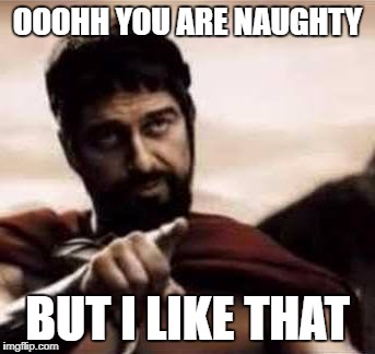 leonidas pointing | OOOHH YOU ARE NAUGHTY; BUT I LIKE THAT | image tagged in leonidas pointing | made w/ Imgflip meme maker