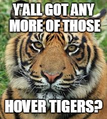 Y'ALL GOT ANY MORE OF THOSE HOVER TIGERS? | made w/ Imgflip meme maker