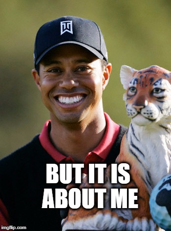 Tigers Tiger | BUT IT IS ABOUT ME | image tagged in tigers tiger | made w/ Imgflip meme maker