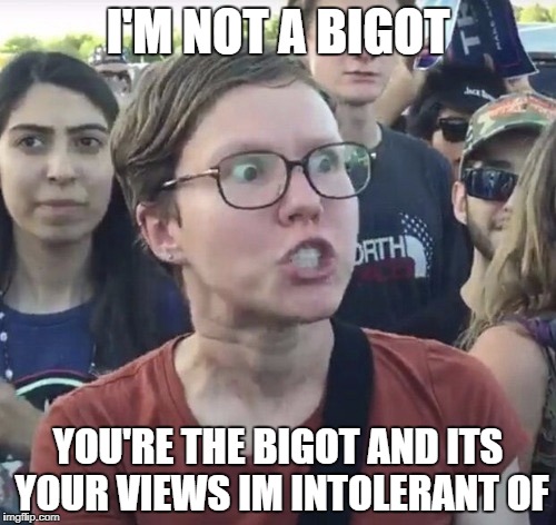 Triggered feminist | I'M NOT A BIGOT; YOU'RE THE BIGOT AND ITS YOUR VIEWS IM INTOLERANT OF | image tagged in triggered feminist | made w/ Imgflip meme maker