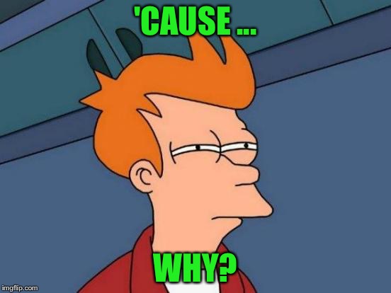 Futurama Fry Meme | 'CAUSE ... WHY? | image tagged in memes,futurama fry | made w/ Imgflip meme maker