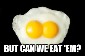 BUT CAN WE EAT 'EM? | made w/ Imgflip meme maker