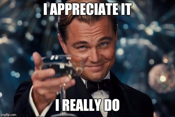 Leonardo Dicaprio Cheers Meme | I APPRECIATE IT I REALLY DO | image tagged in memes,leonardo dicaprio cheers | made w/ Imgflip meme maker