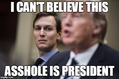 Really?? | I CAN'T BELIEVE THIS; ASSHOLE IS PRESIDENT | image tagged in jared kushner | made w/ Imgflip meme maker