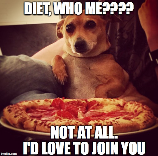 Fitness | DIET, WHO ME???? NOT AT ALL.    I'D LOVE TO JOIN YOU | image tagged in fitness | made w/ Imgflip meme maker