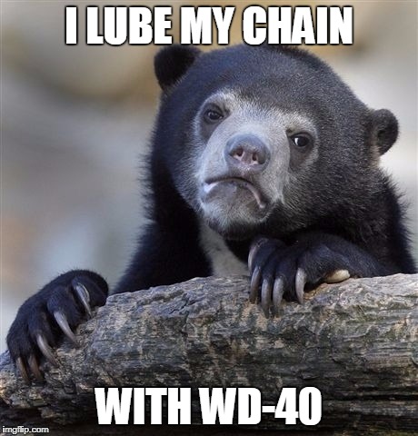 Confession Bear Meme | I LUBE MY CHAIN; WITH WD-40 | image tagged in memes,confession bear | made w/ Imgflip meme maker