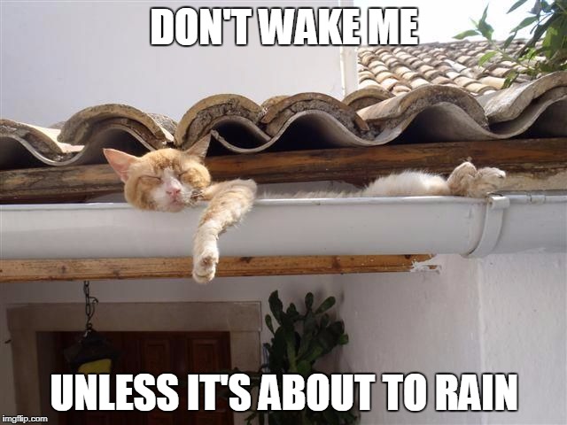 DON'T WAKE ME; UNLESS IT'S ABOUT TO RAIN | made w/ Imgflip meme maker