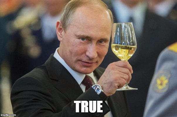 Vladimir Putin Cheers | TRUE | image tagged in vladimir putin cheers | made w/ Imgflip meme maker