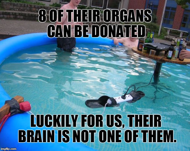 8 OF THEIR ORGANS CAN BE DONATED; LUCKILY FOR US, THEIR BRAIN IS NOT ONE OF THEM. | image tagged in stupid people,organs,donate,transplant,luck,brain | made w/ Imgflip meme maker