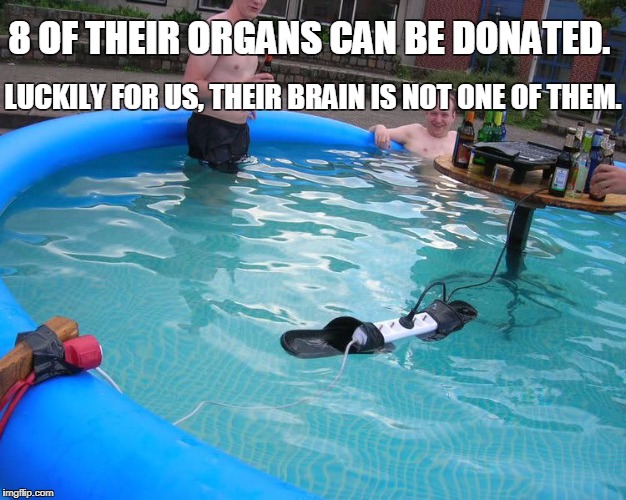 8 OF THEIR ORGANS CAN BE DONATED. LUCKILY FOR US, THEIR BRAIN IS NOT ONE OF THEM. | image tagged in organ,transplant,brain,stupid,redneck swimming pool | made w/ Imgflip meme maker
