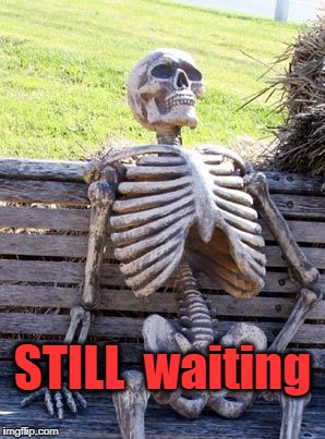 Waiting Skeleton Meme | STILL  waiting | image tagged in memes,waiting skeleton | made w/ Imgflip meme maker