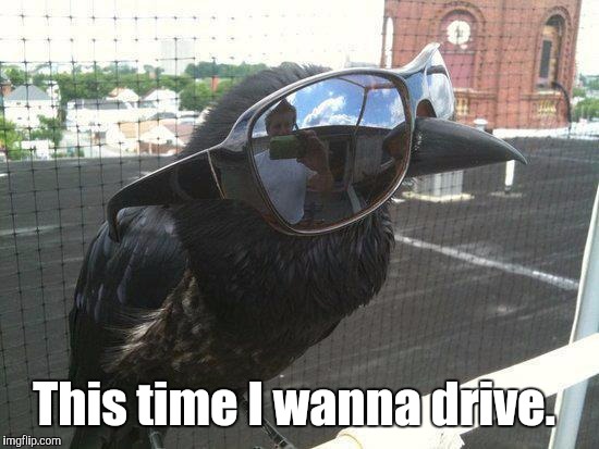 This time I wanna drive. | made w/ Imgflip meme maker