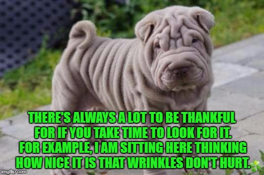 THERE'S ALWAYS A LOT TO BE THANKFUL FOR IF YOU TAKE TIME TO LOOK FOR IT. FOR EXAMPLE, I AM SITTING HERE THINKING HOW NICE IT IS THAT WRINKLES DON'T HURT. | image tagged in thankful,wrinkles,old,funny,funny memes | made w/ Imgflip meme maker