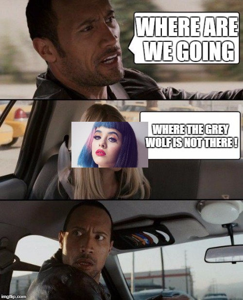 The Rock Driving | WHERE ARE WE GOING; WHERE THE GREY WOLF IS NOT THERE ! | image tagged in memes,the rock driving | made w/ Imgflip meme maker
