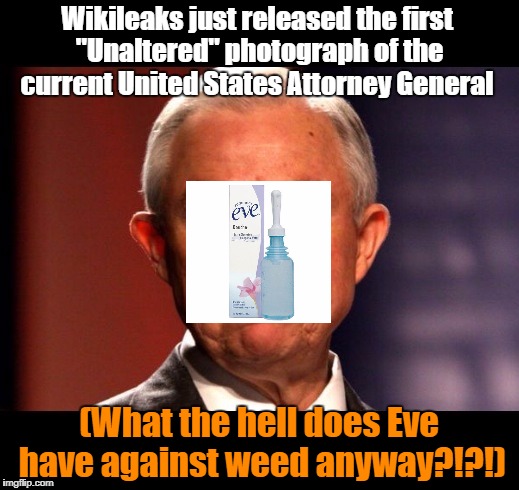 Jeff Sessions | Wikileaks just released the first "Unaltered" photograph of the current United States Attorney General; (What the hell does Eve have against weed anyway?!?!) | image tagged in jeff sessions | made w/ Imgflip meme maker