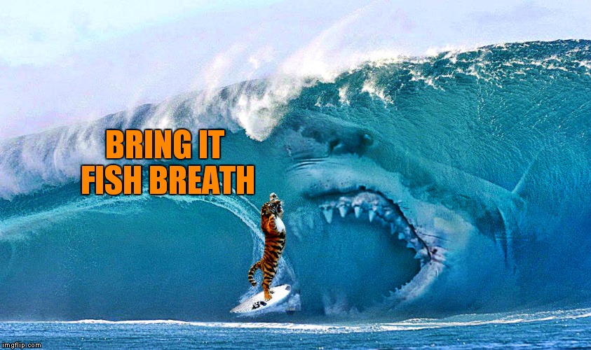 BRING IT FISH BREATH | made w/ Imgflip meme maker