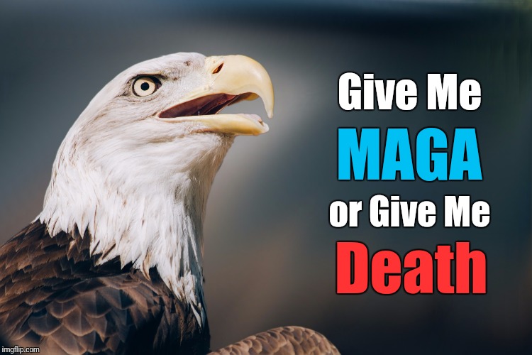Give Me MAGA or Give Me Death | Give Me; MAGA; or Give Me; Death | image tagged in patriotic eagle,patriotism,patriotic,trump,make america great again,liberty | made w/ Imgflip meme maker