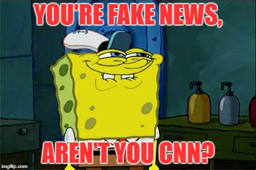Aren't You CNN | YOU'RE FAKE NEWS, AREN'T YOU CNN? | image tagged in memes,dont you squidward,fake news,cnn fake news | made w/ Imgflip meme maker