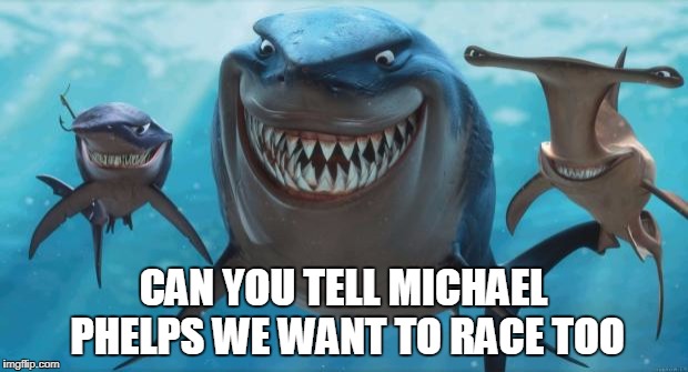 Finding Nemo Sharks | CAN YOU TELL MICHAEL PHELPS WE WANT TO RACE TOO | image tagged in finding nemo sharks | made w/ Imgflip meme maker