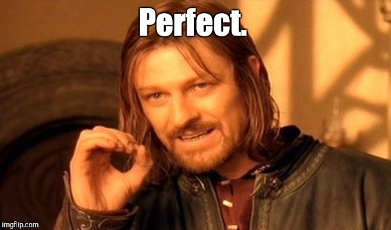 One Does Not Simply Meme | Perfect. | image tagged in memes,one does not simply | made w/ Imgflip meme maker