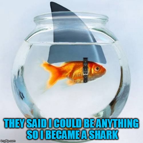 THEY SAID I COULD BE ANYTHING SO I BECAME A SHARK | made w/ Imgflip meme maker