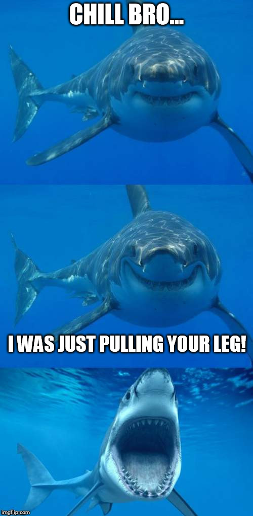 Bad Shark Pun...A Raydog and Discovery Channel event |  CHILL BRO... I WAS JUST PULLING YOUR LEG! | image tagged in bad shark pun,raydog,shark week | made w/ Imgflip meme maker