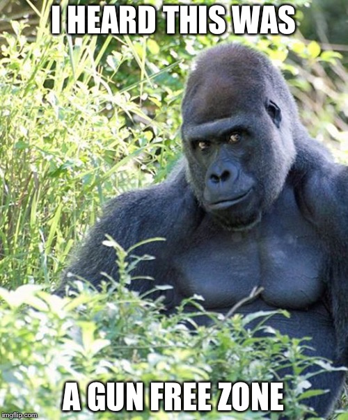 gorilla | I HEARD THIS WAS; A GUN FREE ZONE | image tagged in gorilla | made w/ Imgflip meme maker