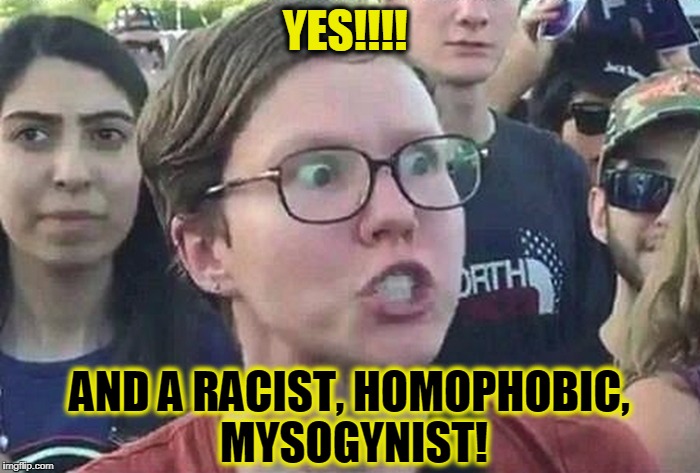 I am so Triggered! | YES!!!! AND A RACIST, HOMOPHOBIC, MYSOGYNIST! | image tagged in i am so triggered | made w/ Imgflip meme maker