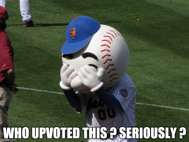 Mr. Met | WHO UPVOTED THIS ? SERIOUSLY ? | image tagged in mr met | made w/ Imgflip meme maker