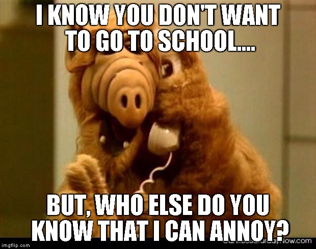 alf phone | I KNOW YOU DON'T WANT TO GO TO SCHOOL.... BUT, WHO ELSE DO YOU KNOW THAT I CAN ANNOY? | image tagged in alf phone | made w/ Imgflip meme maker
