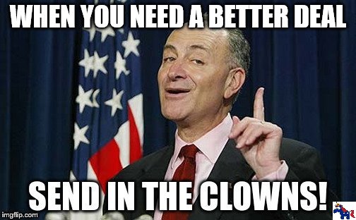 Democrats new slogan #ABetterDeal lol | WHEN YOU NEED A BETTER DEAL | image tagged in democrats,liberals,chuck schumer,donald trump | made w/ Imgflip meme maker